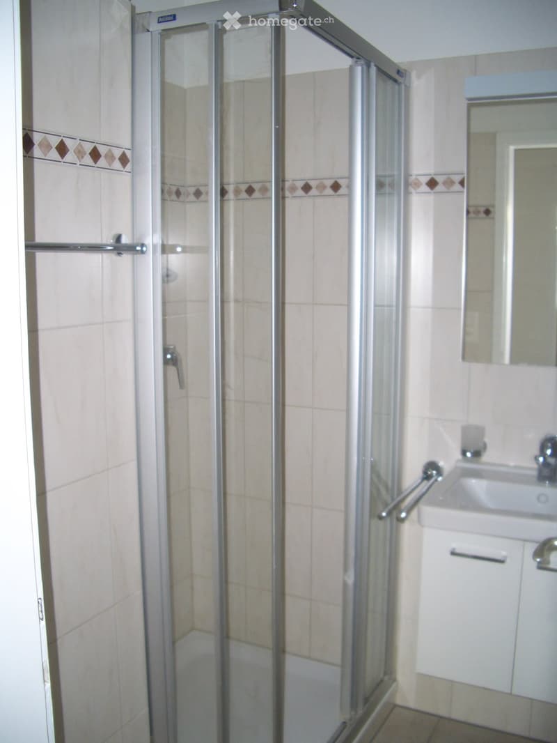 Modern bathroom with a glass-enclosed shower, a white sink with a mirror, and a white cabinet.