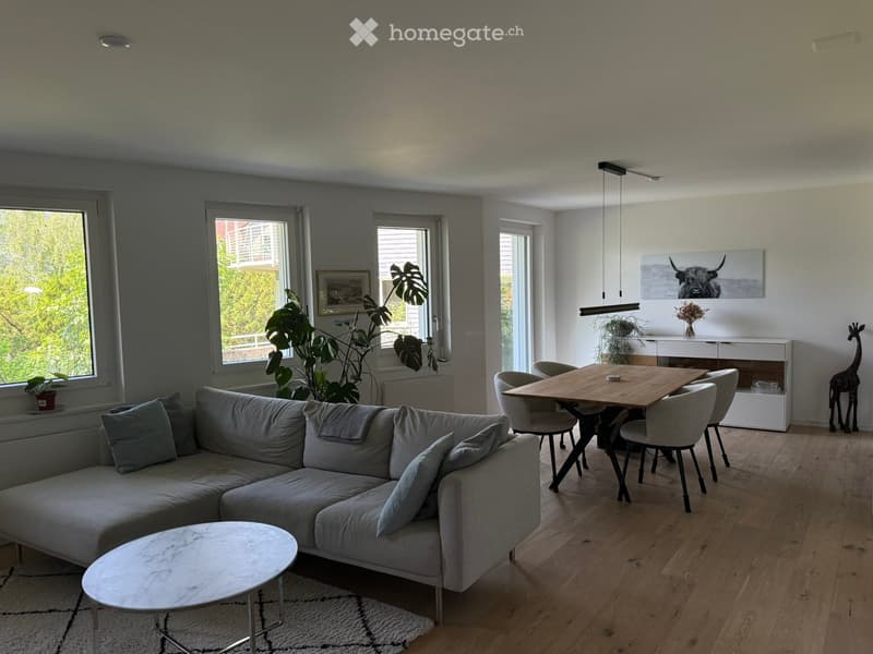 Modern living and dining area with a grey sectional sofa, coffee table, dining table with chairs, and decorative plants.