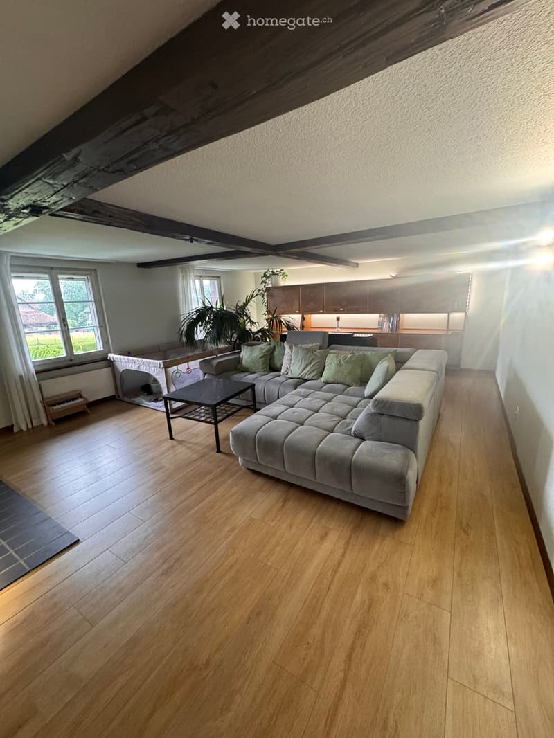 Open-plan living and dining area with wooden flooring, grey sectional sofa, coffee table, kitchen area with cabinets, and potted plants.