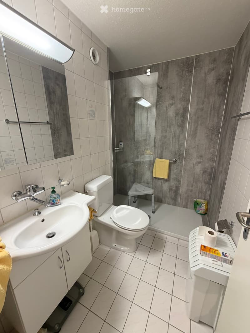 Modern bathroom with white tiles, a sink, toilet, shower, and a mirror. Includes a towel and a soap dispenser on the sink.