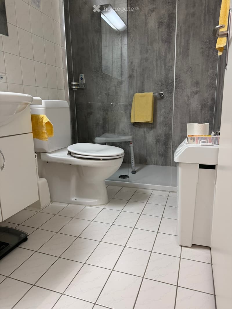 Modern bathroom with white tiled floor, grey textured wall, glass-enclosed shower, toilet, sink, and towel.