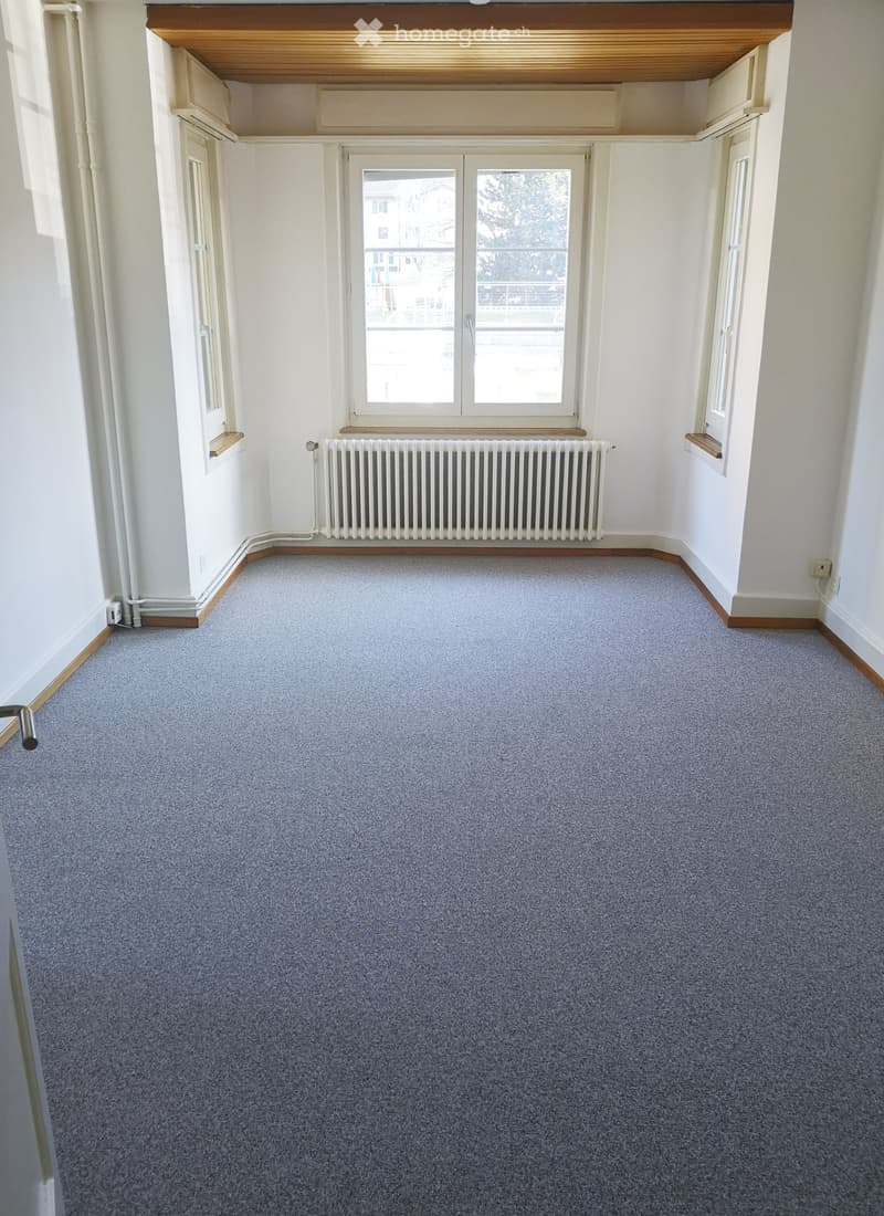 Empty room with grey carpet, white walls, large window, radiator, and wooden trim around the edges.