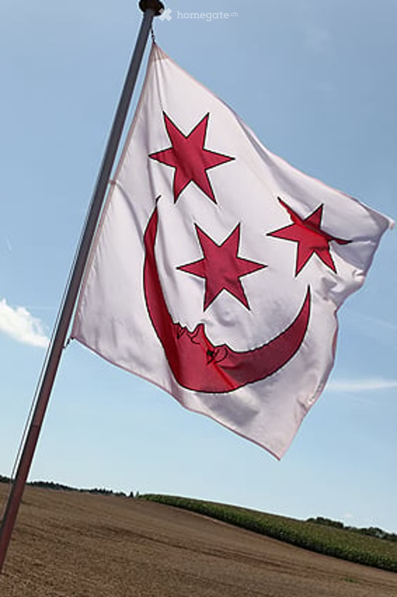 A flagpole with a white flag featuring red stars and a crescent moon design, set against a clear blue sky and a rural landscape with fields.