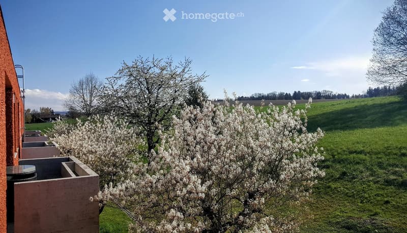 Balcony overlooking a green field with blooming trees and a clear blue sky.