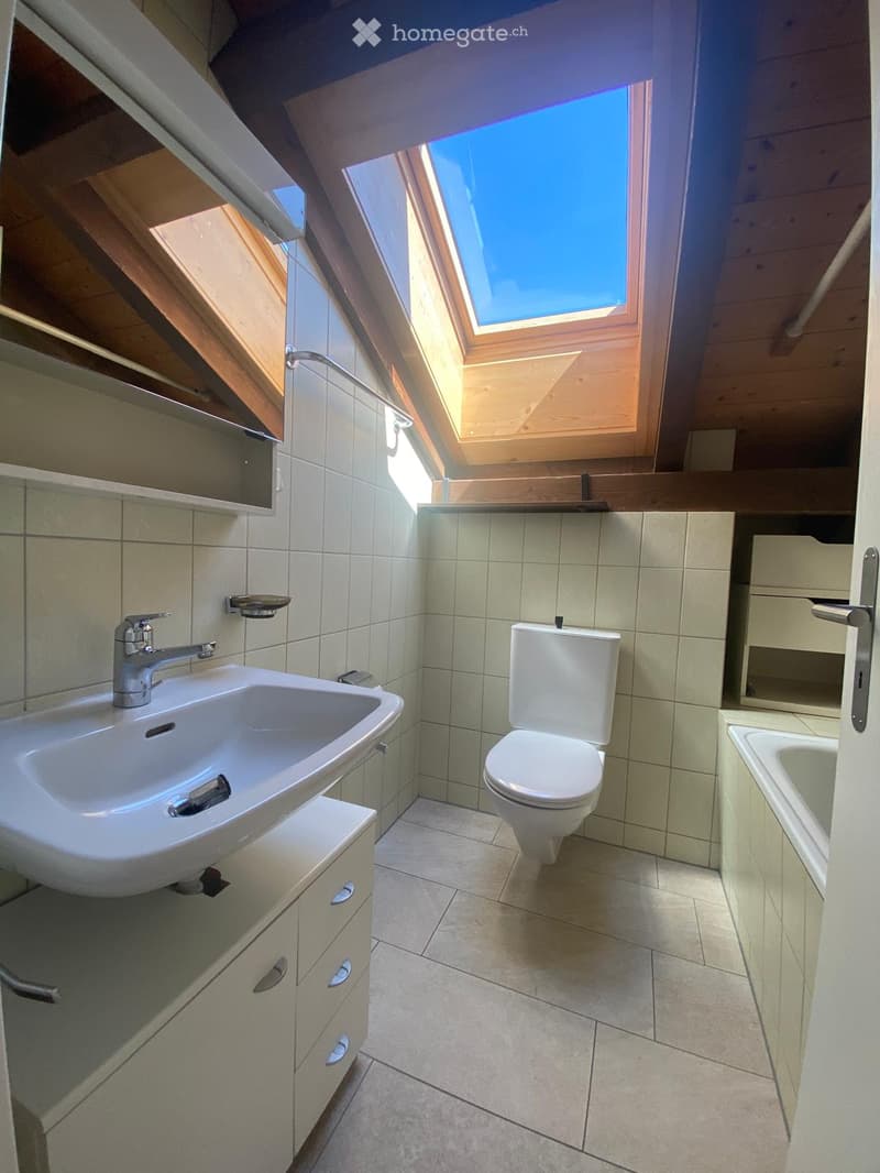 Modern bathroom with a large skylight, featuring a white sink, toilet, bathtub, and built-in cabinets.