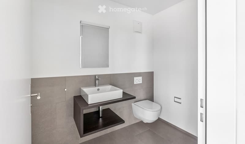 Modern bathroom with a white sink, dark wooden cabinet, and a toilet. Features a large mirror above the sink and grey tiled walls.