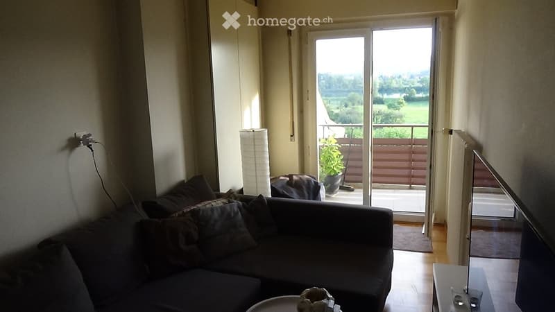 Living room with a dark grey sofa, coffee table, floor lamp, and a view of a green landscape through large sliding glass doors leading to a balcony.