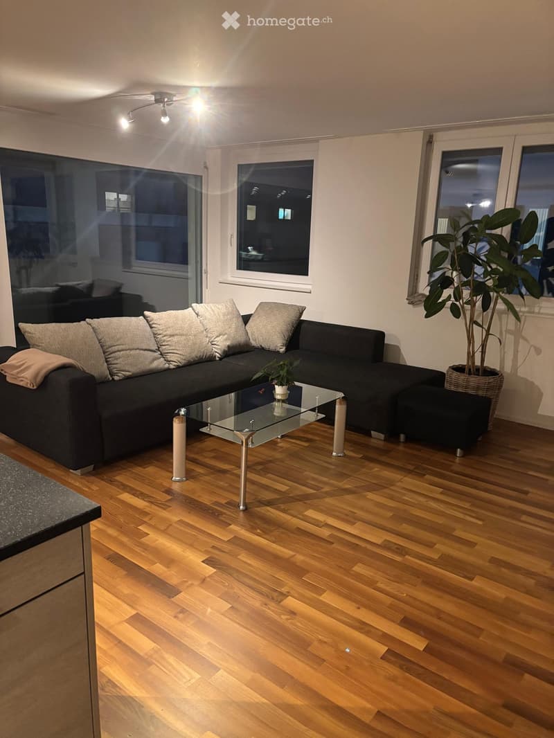 Modern living room with wooden flooring, a black sectional sofa with beige cushions, a glass coffee table, and a large potted plant near the window.