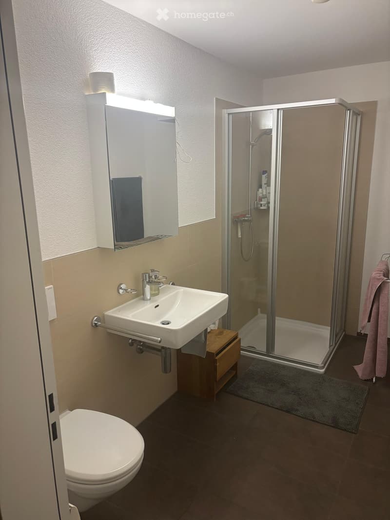 Modern bathroom with a white sink, toilet, mirror, and a glass-enclosed shower. Beige tiles and a dark floor.