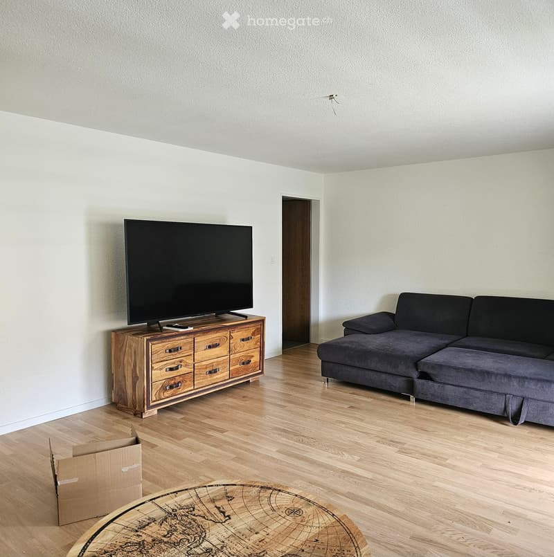Living room with a grey sectional sofa, a flat-screen TV on a wooden cabinet, and a round coffee table with a world map design.