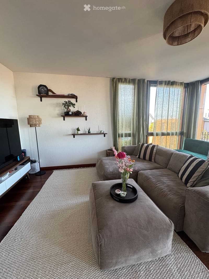 Modern living room with a grey sectional sofa, coffee table with a flower vase, floor lamp, TV stand, and decorative shelves with plants and a clock.