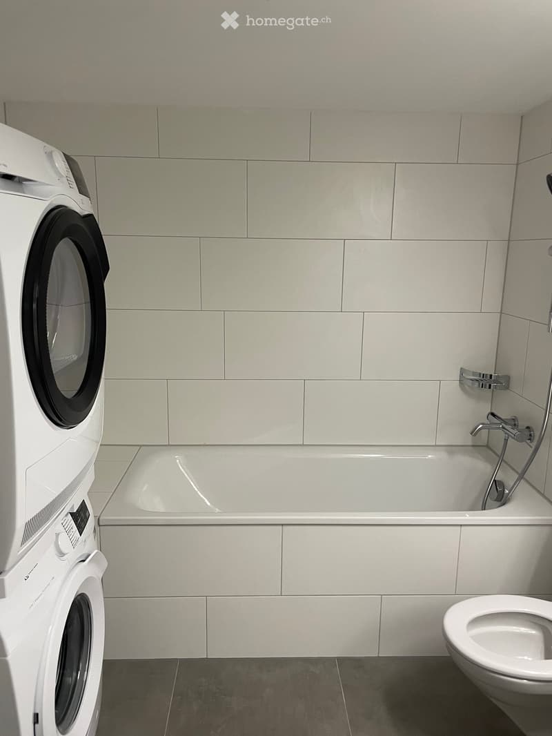 Modern bathroom with a bathtub, toilet, and a private washing machine. The walls are tiled in light grey, and the floor is dark grey.