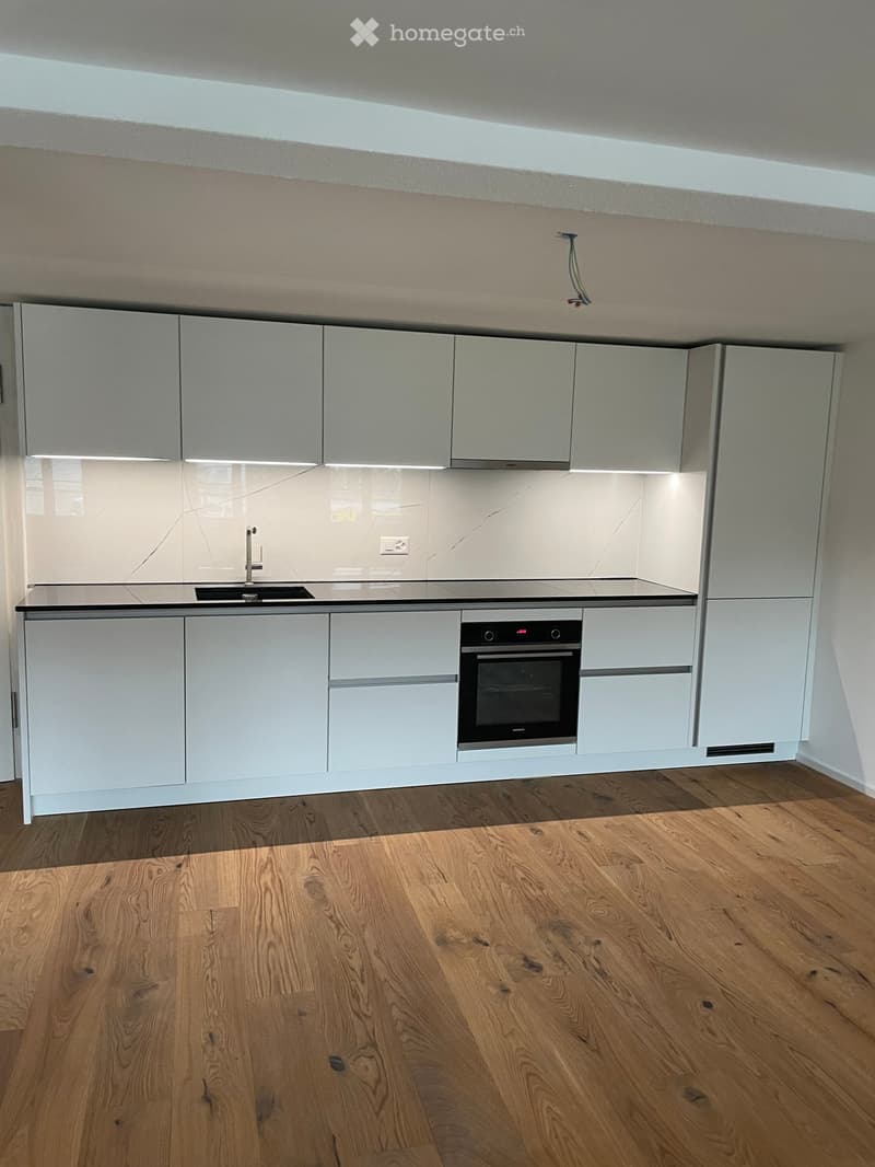 Modern kitchen with light grey cabinets, a black countertop, a sink, and an oven. The floor is made of light wooden planks.