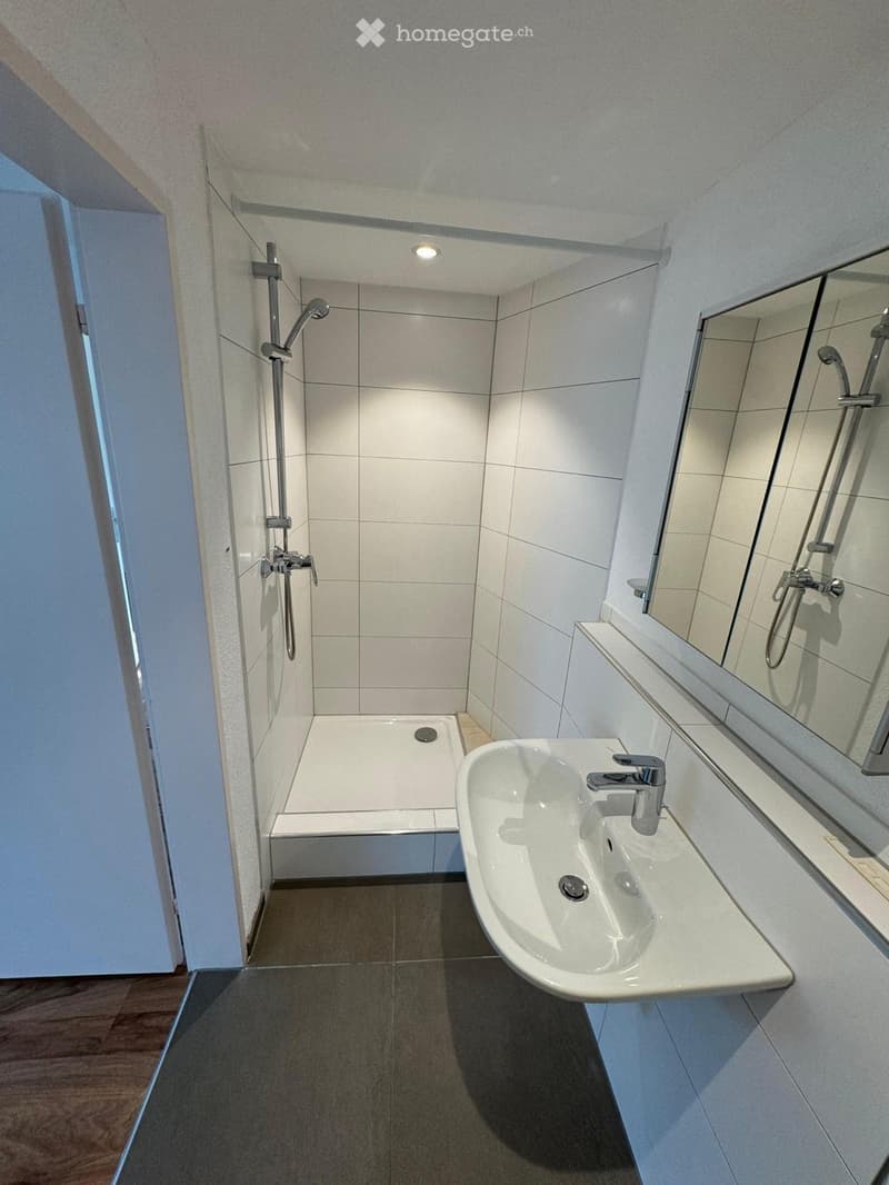Modern bathroom with a white sink, mirror, and a shower area with a glass enclosure. The floor is tiled, and the walls are covered with white tiles.