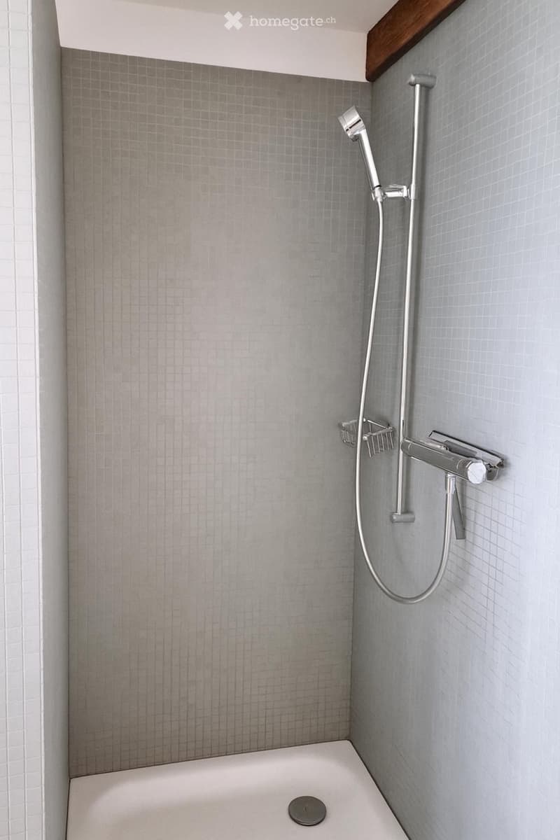 Modern shower area with grey tiled walls, a handheld showerhead, a faucet, and a small shower rack.