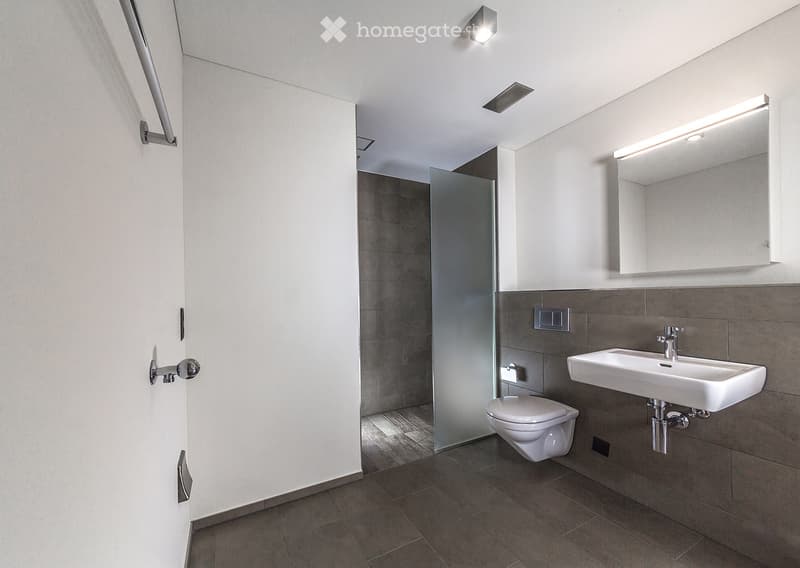 Modern bathroom with white walls, dark tiled floor, toilet, sink, mirror, and glass shower enclosure.