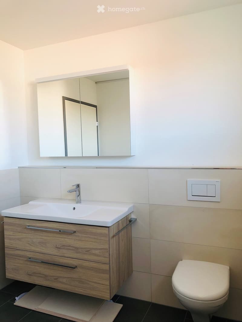 Modern bathroom with a wooden vanity cabinet, white sink, chrome faucet, large mirror, and toilet.