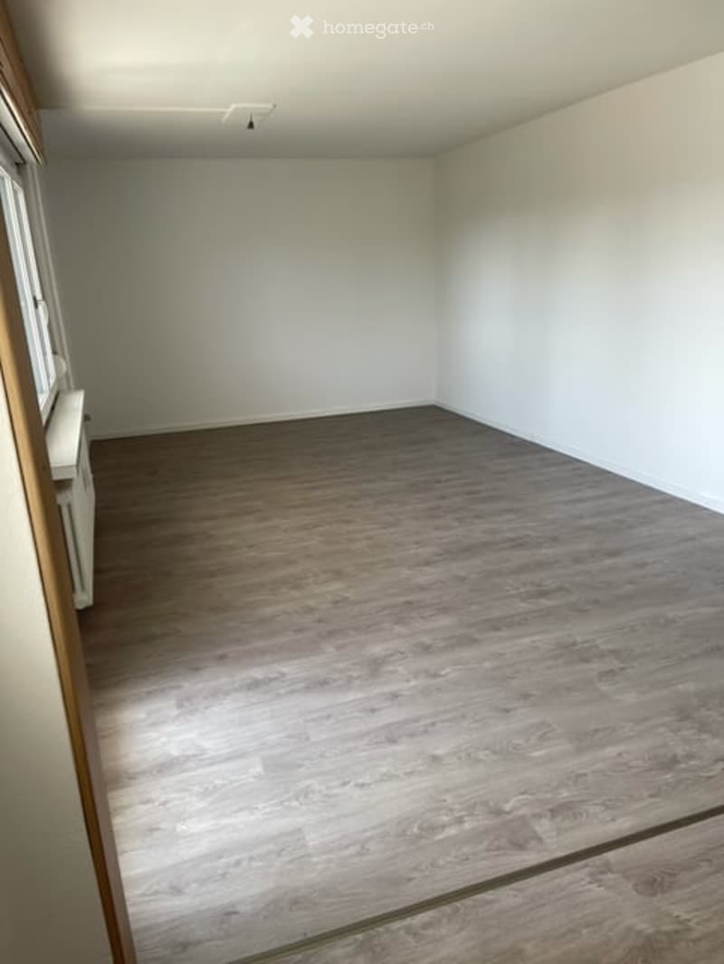 Empty room with light-colored walls and wooden flooring, featuring a window on one side and a radiator below it.