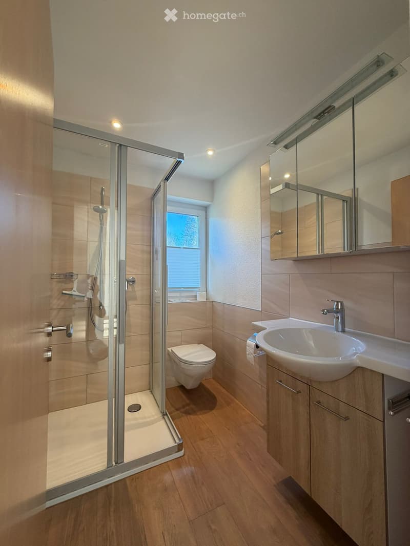 Modern bathroom with wooden flooring, a glass-enclosed shower, a toilet, a sink with a mirror, and built-in storage cabinets.