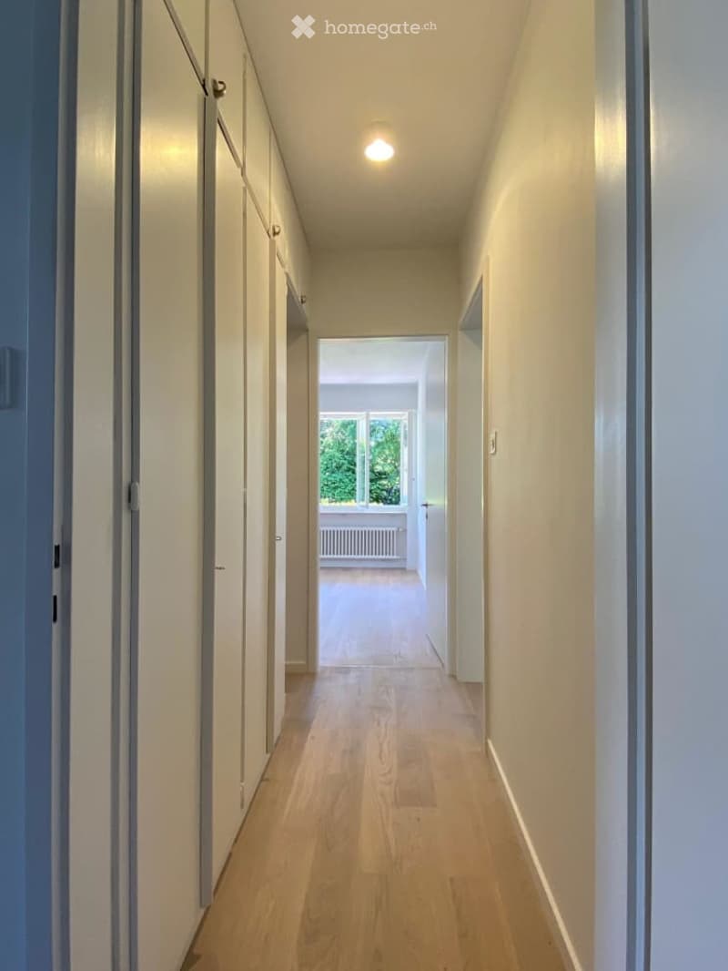 Empty hallway with wooden floor, white walls, and white doors. There is a window with a view of trees.