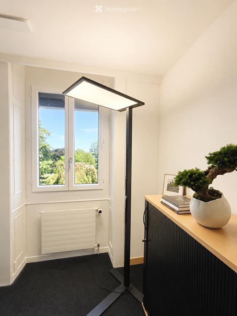 Modern, minimalist room with large windows, black carpet, white walls, a sleek floor lamp, a small table with books and a bonsai tree, and a radiator.