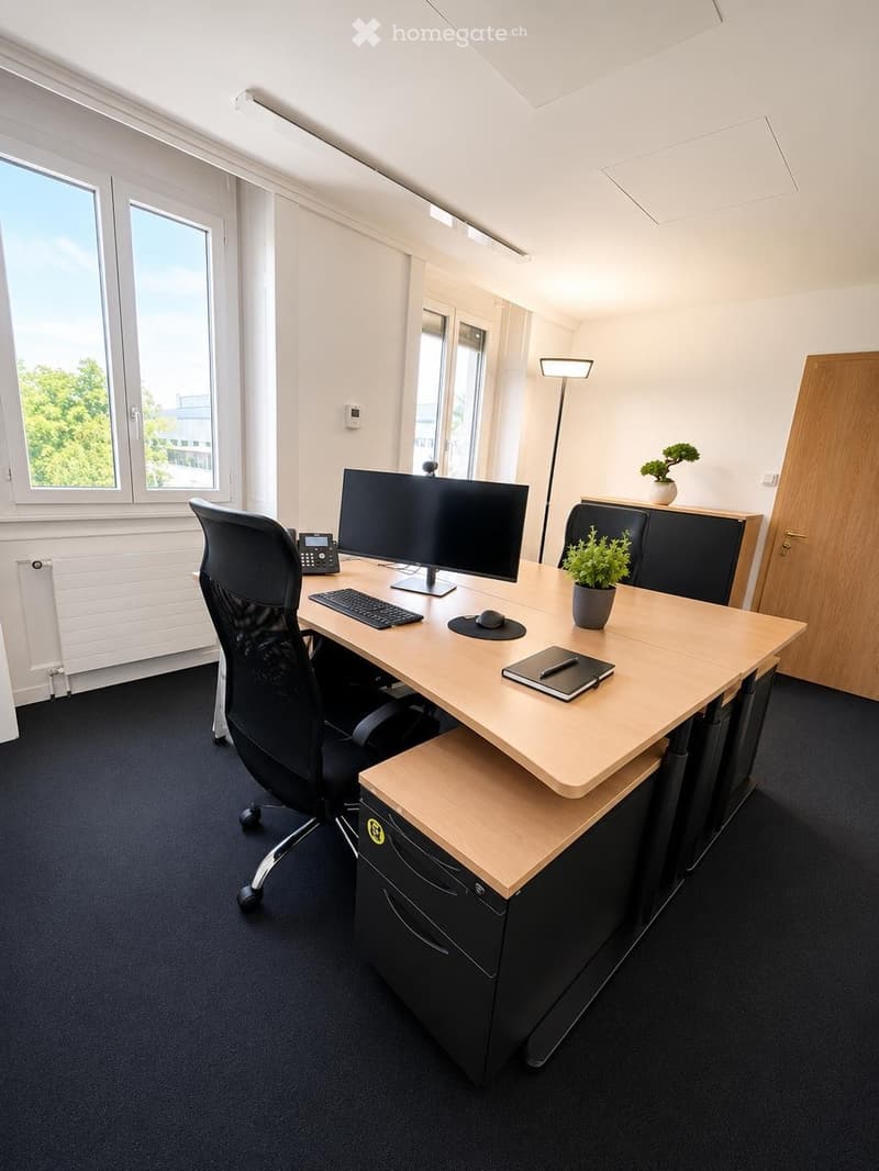 Modern office space with a large wooden desk, ergonomic chair, computer setup, and small potted plants.
