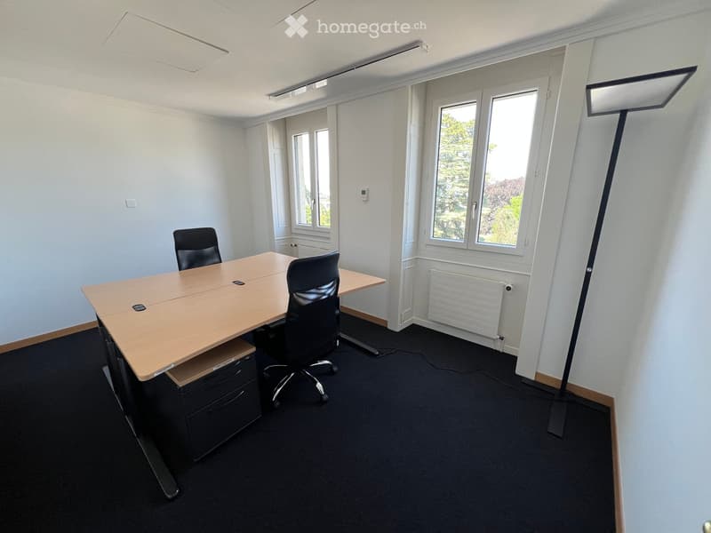 Office space with a wooden table, two black office chairs, a floor lamp, and large windows with a view of greenery.