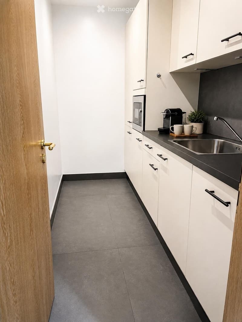 Modern kitchen with white cabinets, stainless steel sink, microwave, coffee maker, and small potted plant on the counter.