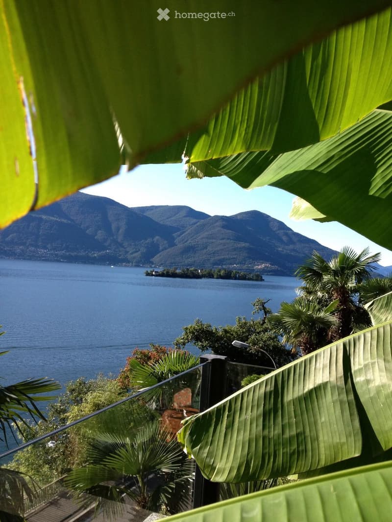 Glass balcony, panoramic view of the lake, mountains in the distance, lush green vegetation