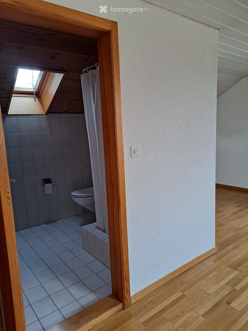 Small bathroom with a toilet, tiled walls and floor, and a shower curtain. The room has a skylight window above the shower area.