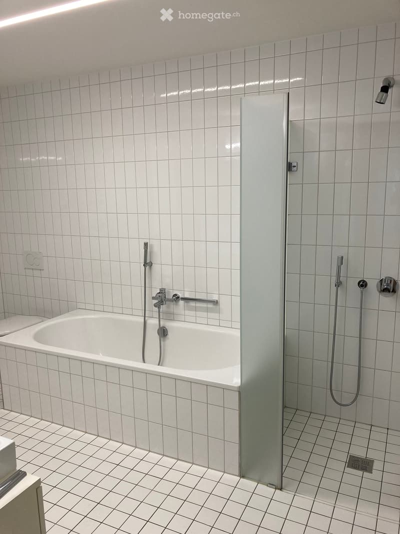 Modern bathroom with white tiled walls and floor, featuring a bathtub with a handheld shower and a separate walk-in shower with glass enclosure.