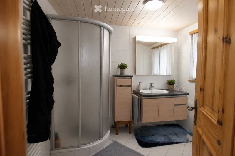Modern bathroom with a shower, sink, mirror, wooden cabinet, and small potted plants on the counter.