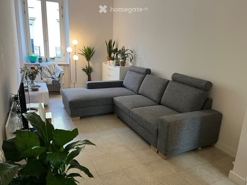 Modern living room with a grey sectional sofa, coffee table, floor lamp, television, and decorative plants.