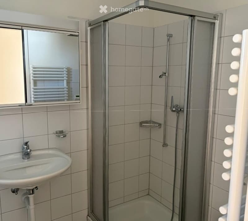 Modern bathroom with a corner shower, a sink with a mirror, and a shower rack. The walls are tiled in light gray, and the shower enclosure is made of glass.