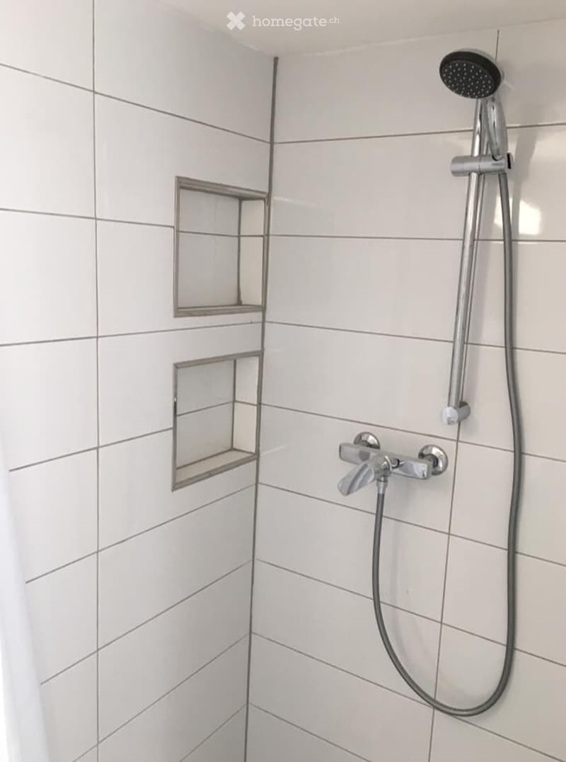 Modern shower area with white tiled walls, a handheld showerhead, a control valve, and two built-in shelves for storage.