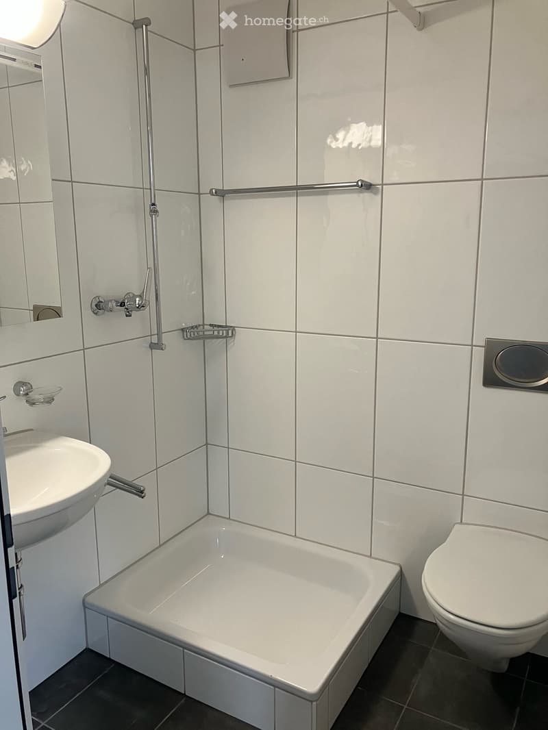 Modern bathroom with white tiled walls, a bathtub, toilet, sink, and a mirror. Features a handrail for accessibility.