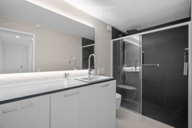Modern bathroom with double sink, large mirror, sleek faucet, glass-enclosed shower, and toilet.