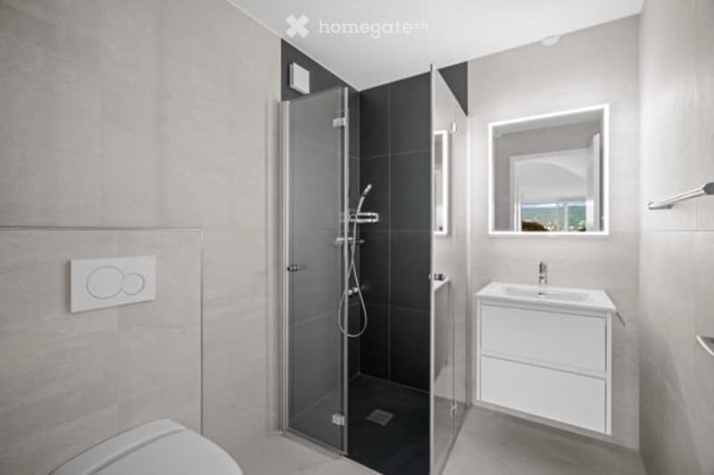 Modern bathroom with a white sink, toilet, and a glass-enclosed shower stall. The walls are tiled in neutral tones, and a large mirror is mounted above the sink.