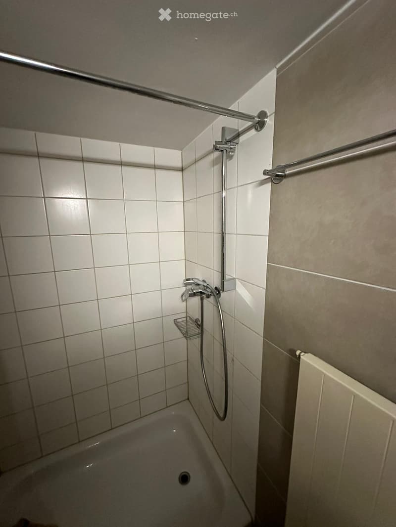 modern bathroom, white tiles, stainless steel shower head, glass shelf, bathtub, towel rack, radiator