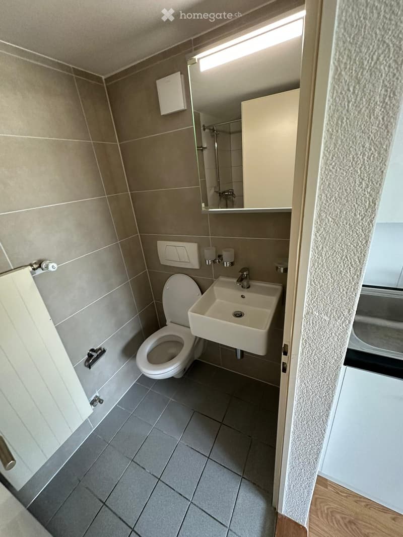 A small compact bathroom with a shower cubicle, a sink, and a toilet