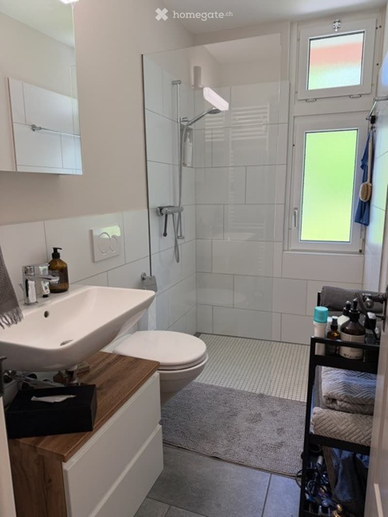 Modern bathroom with a white sink, toilet, glass-enclosed shower, and a large mirror above the sink. The space includes a towel rack with folded towels, a bottle of shower gel, shampoo, and a shower cap on the shelf.