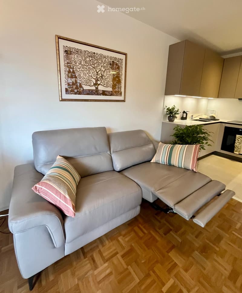 A modern living room with a grey sectional sofa, decorative pillows, a small kitchen area with cabinets, sink, oven, microwave, and a potted plant, complemented by a framed abstract artwork on the wall.