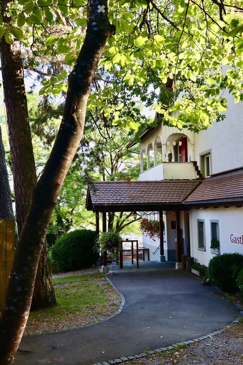 A serene garden area with a pathway leading to a building entrance, surrounded by trees and greenery, with a small wooden bench and potted plants near the entrance.