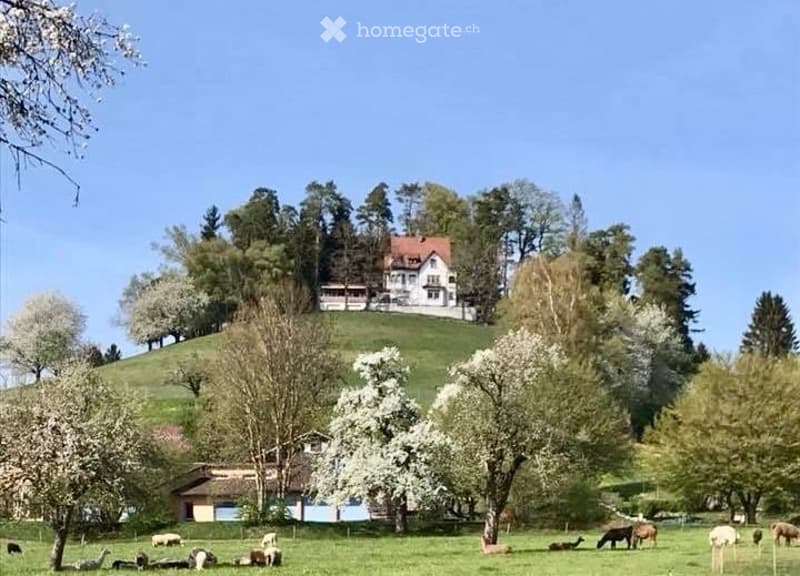 Neuvermietung Gasthaus Säntisblick in Eschlikon TG (2)