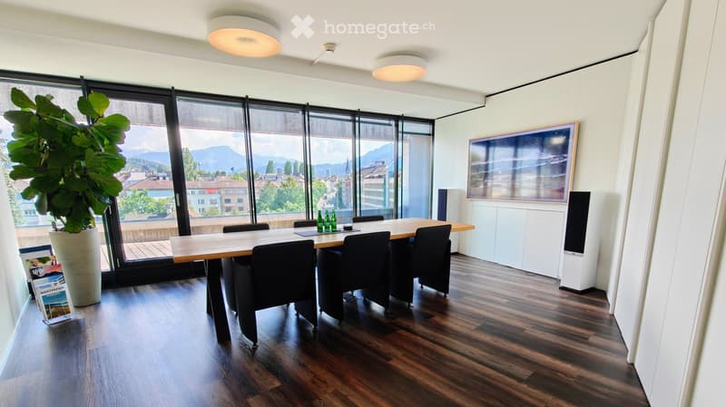 Modern office or meeting room with large windows offering a scenic view, a long wooden table surrounded by black chairs, a tall potted plant, a white cabinet, and a large picture frame on the wall.