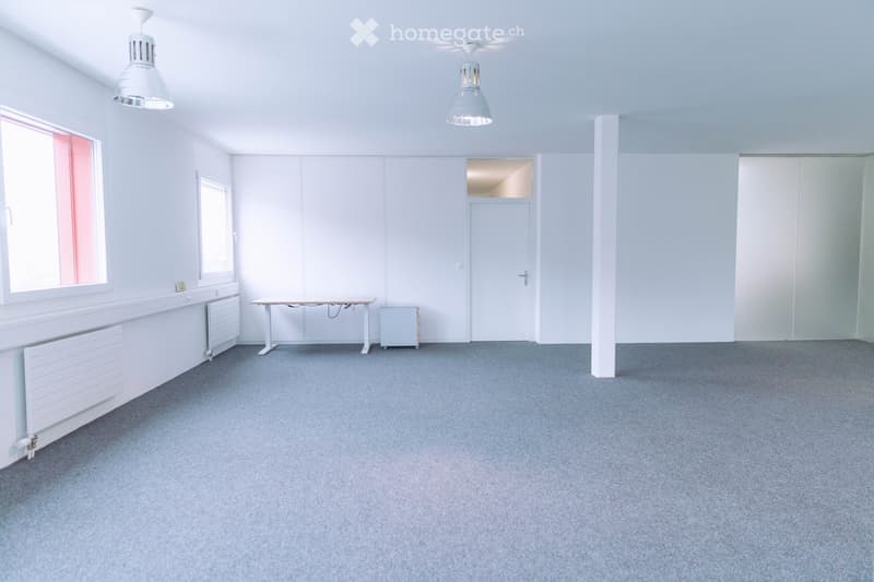 A clean, unfurnished room with light grey walls, carpeted floor, and two windows. A small table and radiator are present.