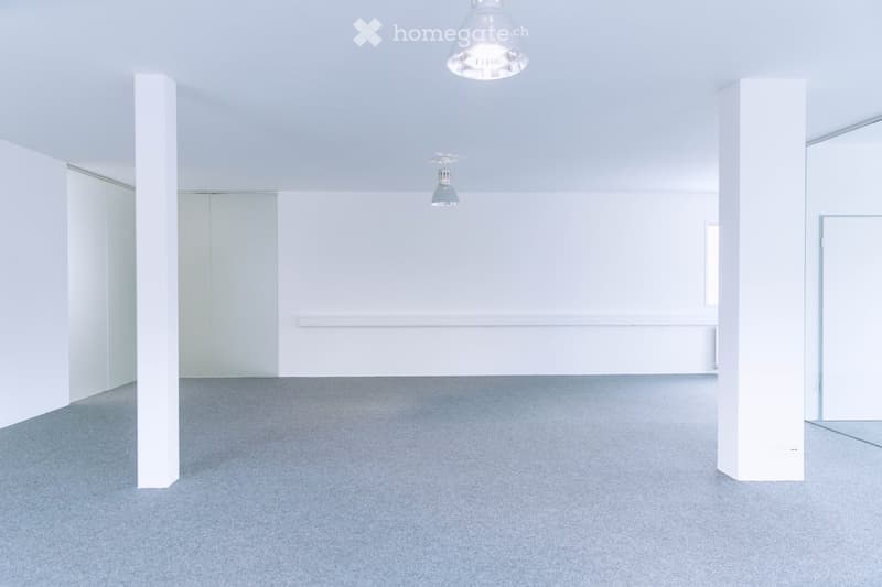 Empty room with white walls, grey carpet, and modern lighting fixtures.