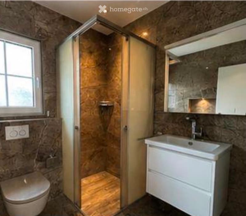 Modern bathroom with a glass-enclosed shower, a white sink with a cabinet, a toilet, and a large mirror above the sink. The walls are covered in dark, textured tiles, and the floor has a wooden finish.