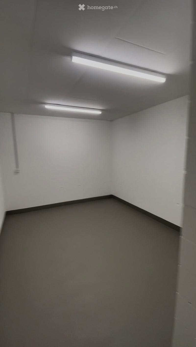 Empty room with white walls, gray carpeted floor, and fluorescent lighting.