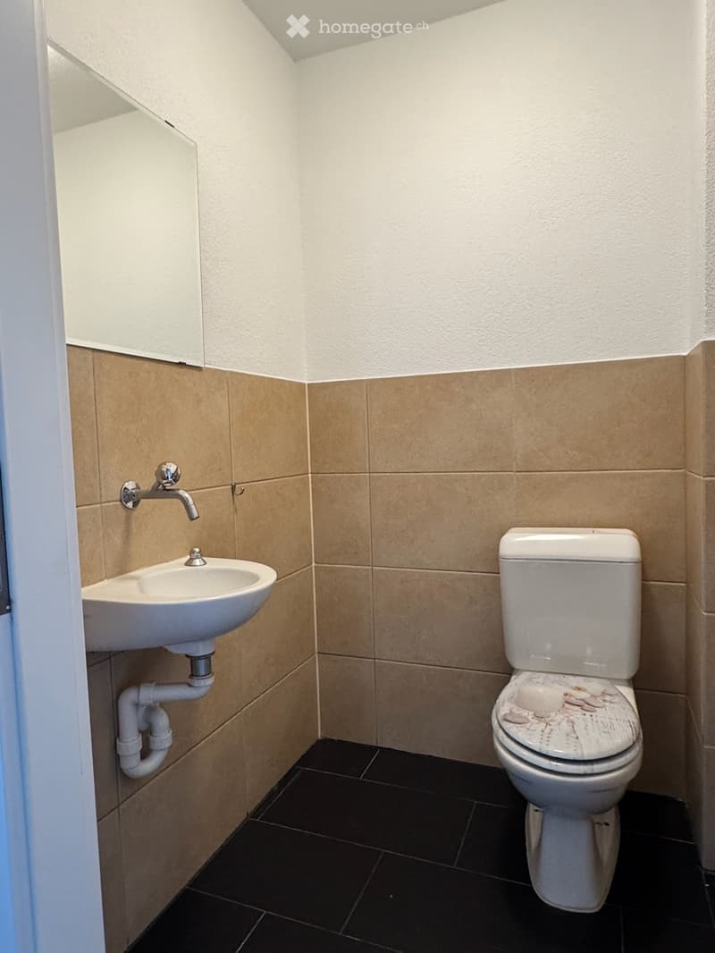 A small bathroom with a sink and toilet.